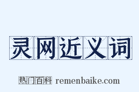 灵网近义词是什么意思的图片